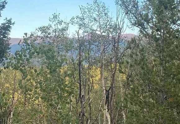 1.6 Acres of Land for Sale in Cripple Creek, Colorado
