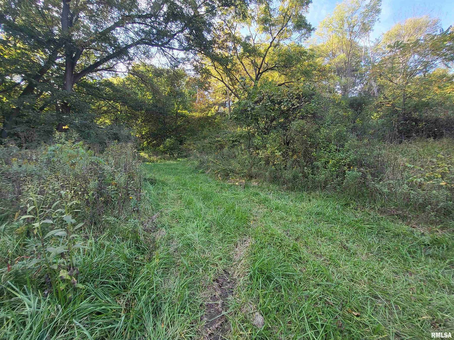 1 Acre of Residential Land for Sale in Edelstein, Illinois