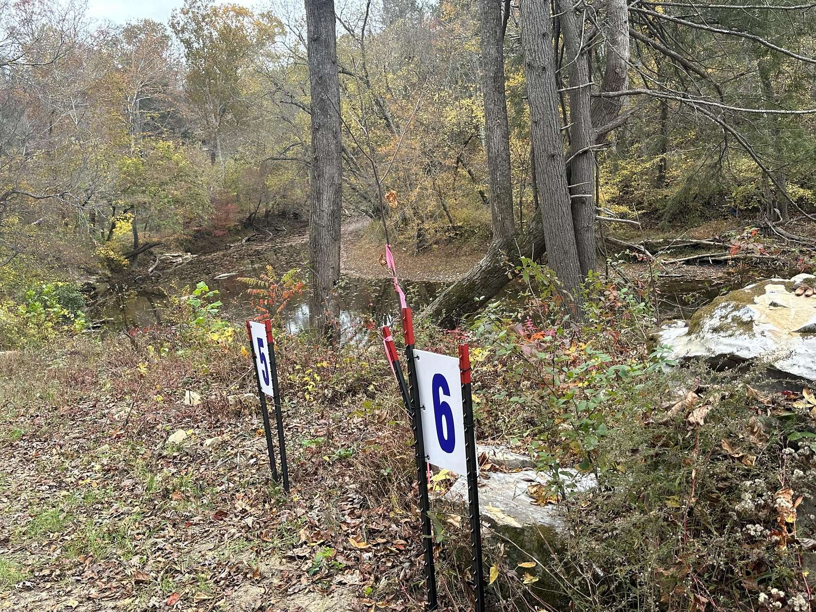 9.15 Acres of Land for Sale in McKee, Kentucky