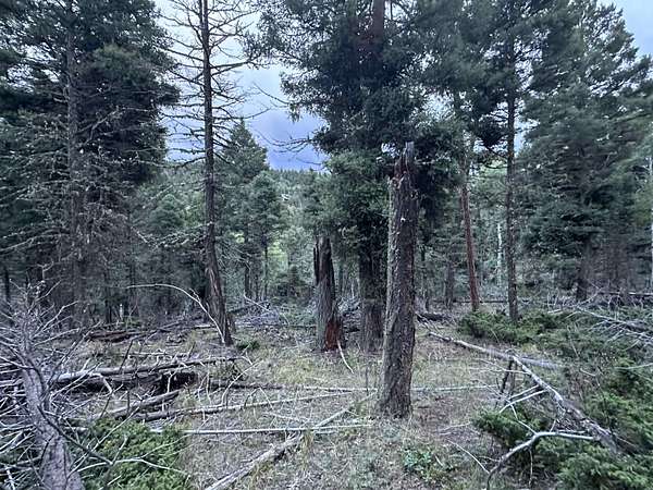 0.75 Acres of Residential Land for Sale in Angel Fire, New Mexico