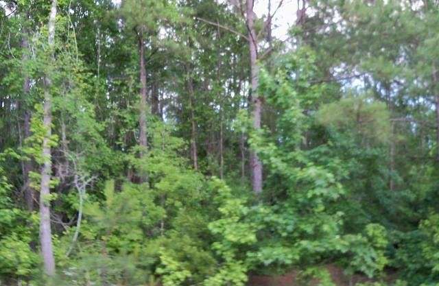 0.75 Acres of Residential Land for Sale in Cusseta, Georgia