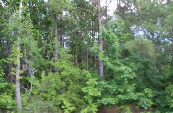 0.75 Acres of Residential Land for Sale in Cusseta, Georgia