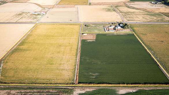 33.5 Acres of Agricultural Land for Sale in Filer, Idaho