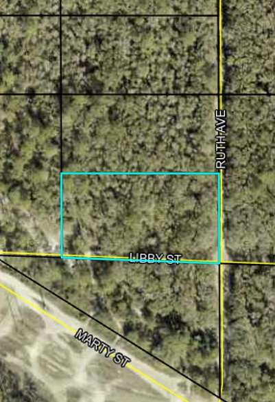 1 Acre of Residential Land for Sale in Hastings, Florida