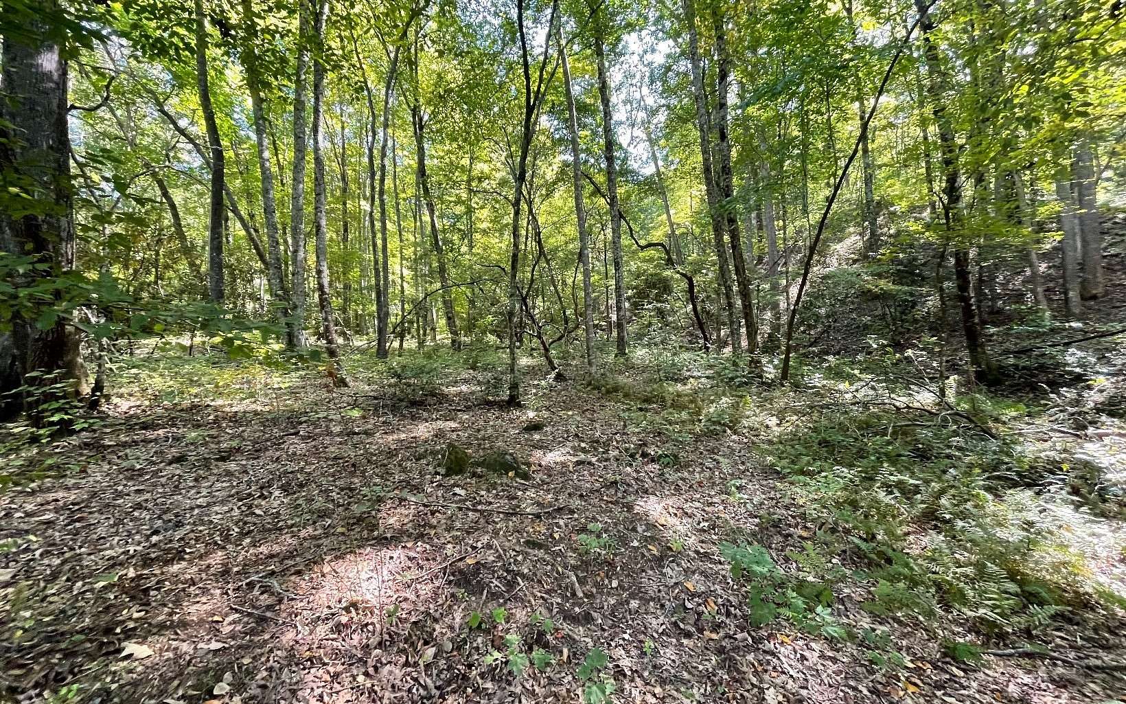 3.77 Acres of Residential Land for Sale in Hayesville, North Carolina