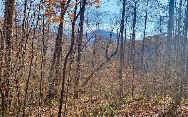 1 Acre of Residential Land for Sale in Hayesville, North Carolina