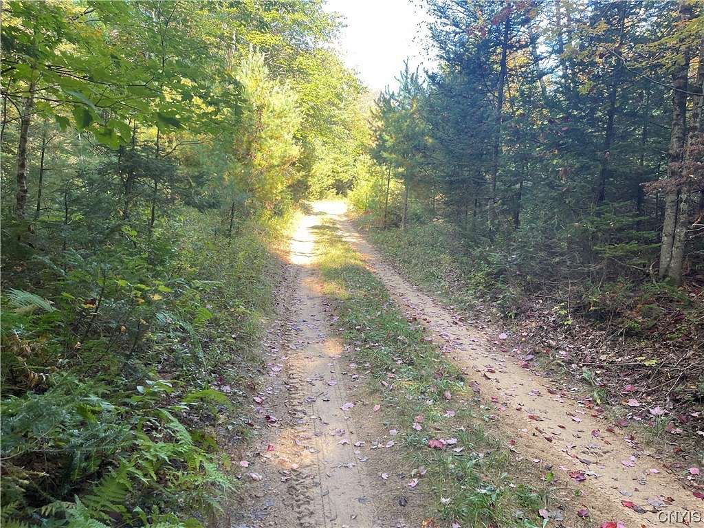 38.2 Acres of Recreational Land with Home for Sale in Diana Town, New York