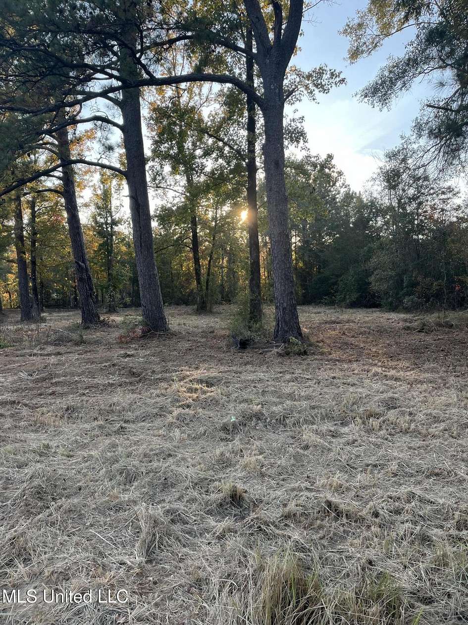 32.24 Acres of Land for Sale in Hattiesburg, Mississippi