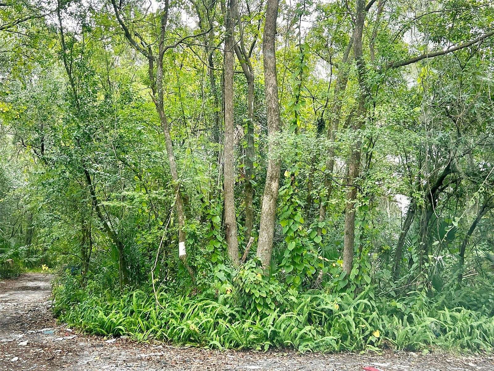 0.11 Acres of Residential Land for Sale in Gainesville, Florida
