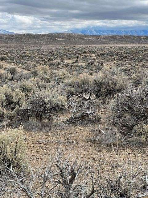 20 Acres of Land for Sale in Deeth, Nevada