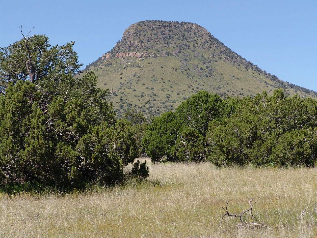 15 Acres of Land for Sale in Datil, New Mexico