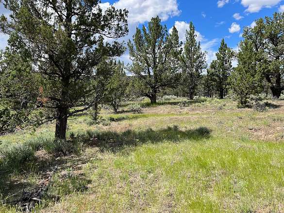 1.5 Acres of Residential Land for Sale in Alturas, California - LandSearch