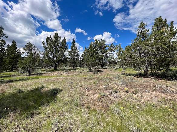 1.5 Acres of Residential Land for Sale in Alturas, California - LandSearch