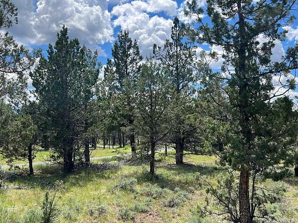 1.5 Acres of Residential Land for Sale in Alturas, California - LandSearch