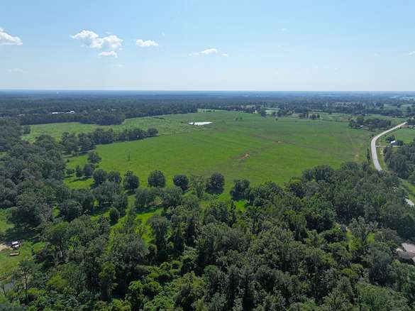 110 Acres of Agricultural Land for Sale in Campbellton, Florida