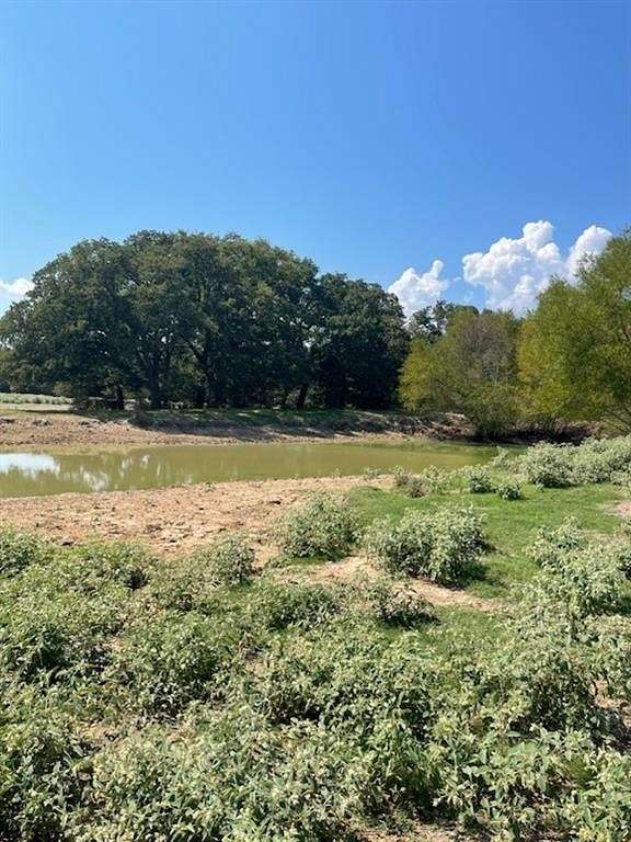 15 Acres of Agricultural Land for Sale in Eustace, Texas