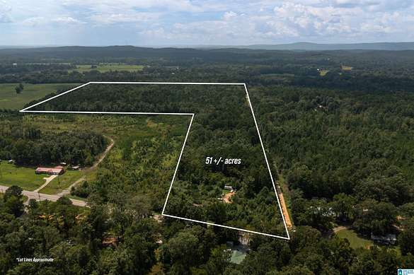 51.1 Acres of Land for Sale in Vincent, Alabama