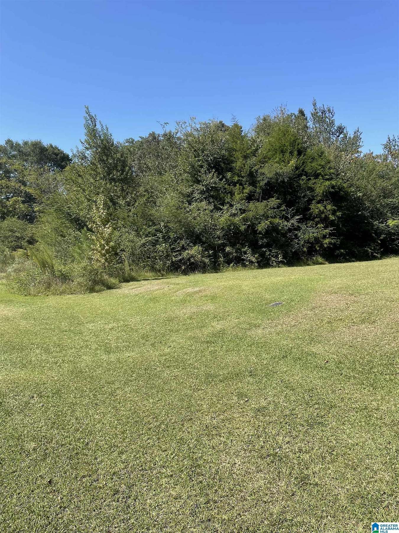 0.8 Acres of Residential Land for Sale in Lincoln, Alabama