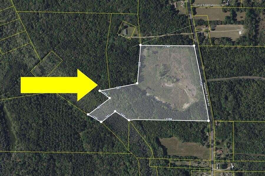 29.9 Acres of Recreational Land for Sale in Green Pond, South Carolina