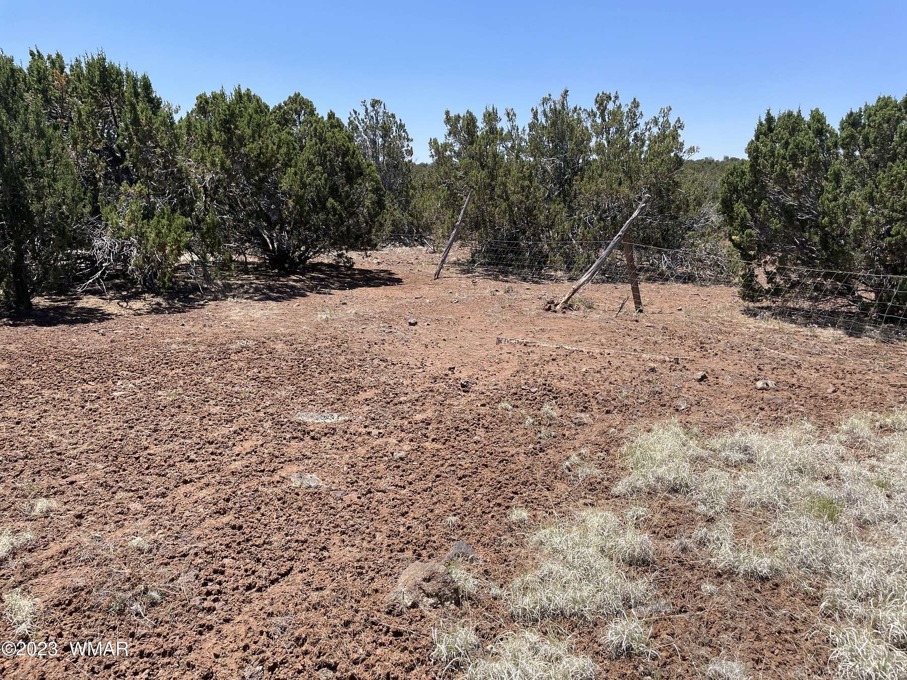 1.2 Acres of Land for Sale in Concho, Arizona