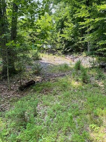 3.2 Acres of Residential Land for Sale in Unicoi, Tennessee