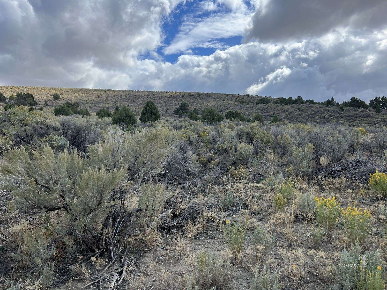231 Acres of Land for Sale in Elko, Nevada