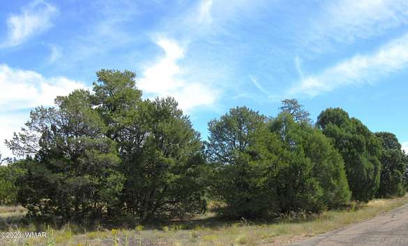 0.4 Acres of Residential Land for Sale in Heber, Arizona
