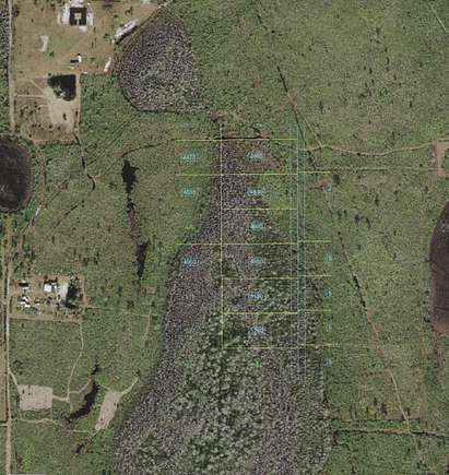 Land for Sale in St. Cloud, Florida