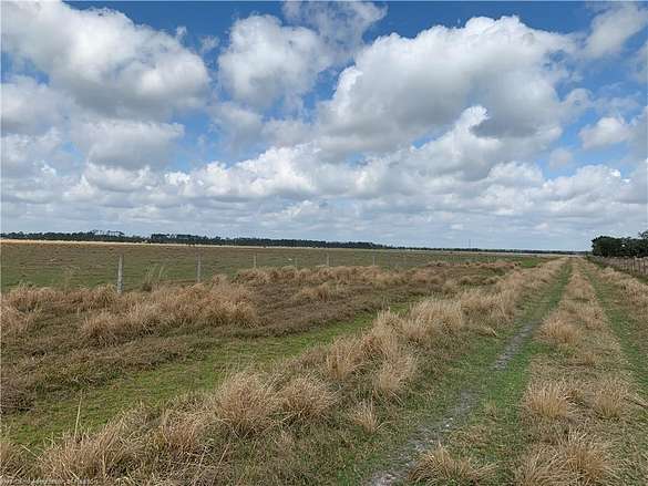 200 Acres of Agricultural Land for Sale in Venus, Florida