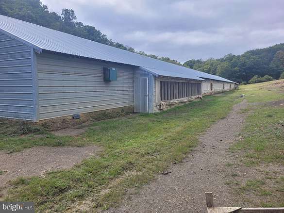 3 Acres of Improved Land for Sale in Purgitsville, West Virginia