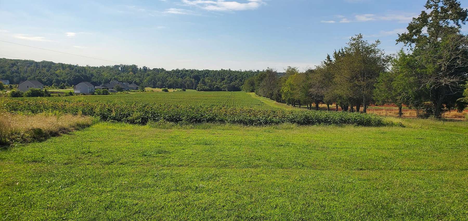 65 Acres of Recreational Land for Sale in Statesville, North Carolina