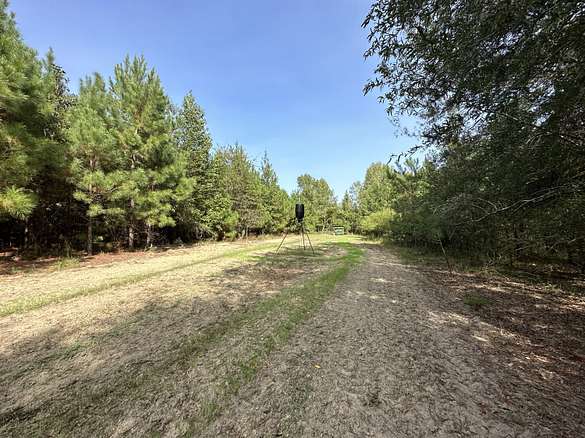30 Acres of Recreational Land & Farm for Sale in Keysville, Georgia