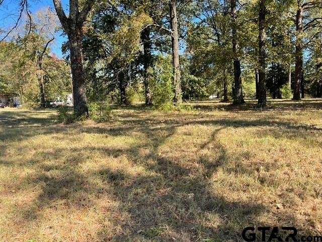 3 Acres of Residential Land for Sale in Tyler, Texas