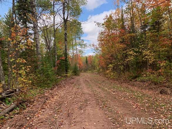 80 Acres of Recreational Land for Sale in Mass City, Michigan
