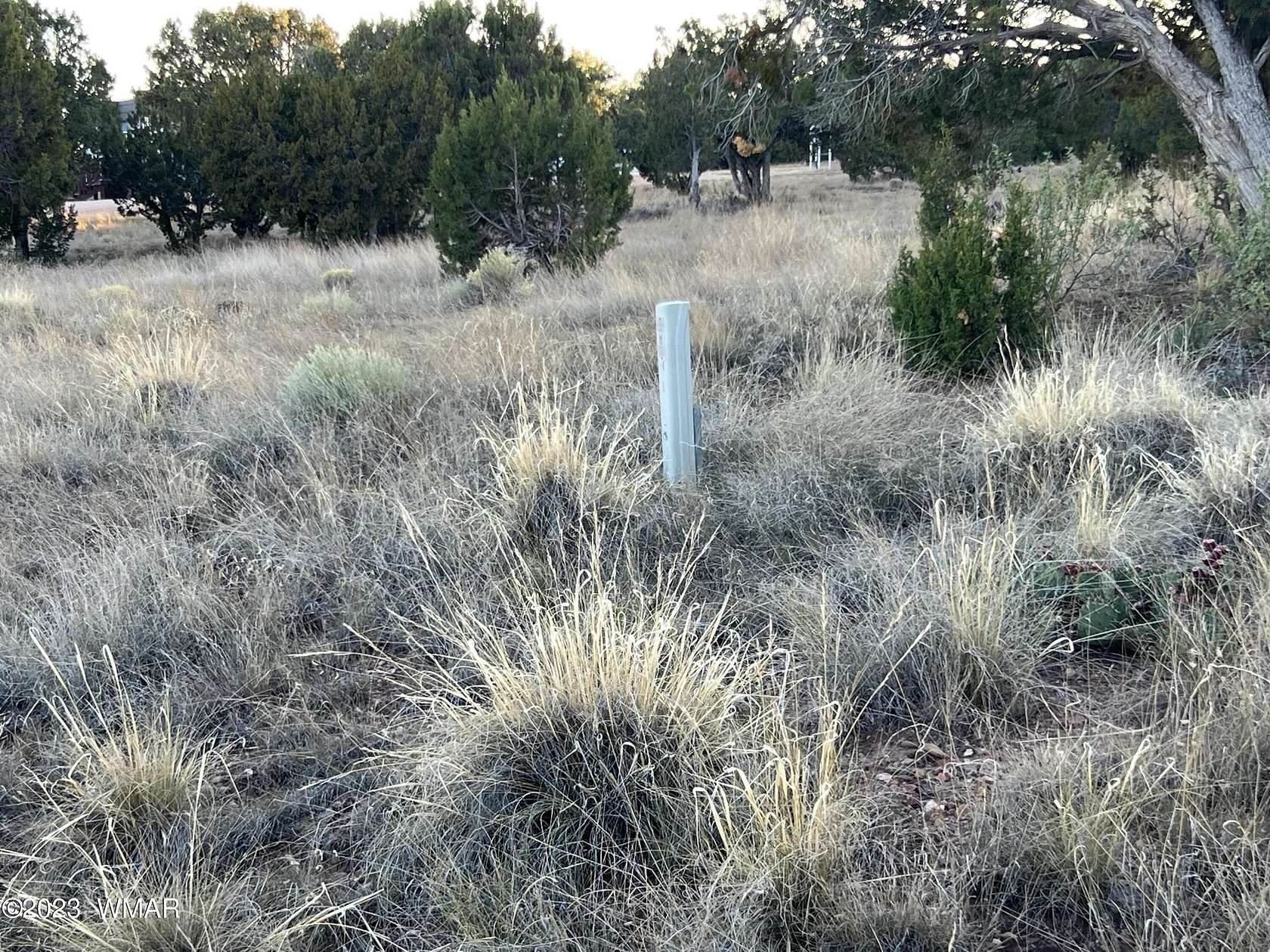 1.7 Acres of Residential Land for Sale in Concho, Arizona