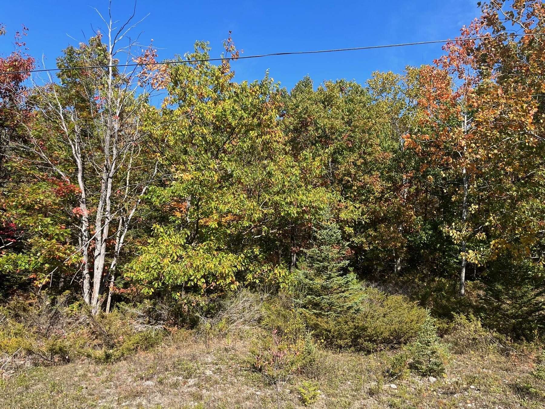 Residential Land for Sale in Presque Isle, Michigan