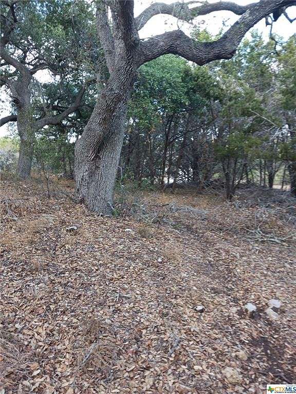 0.29 Acres of Residential Land for Sale in Spring Branch, Texas