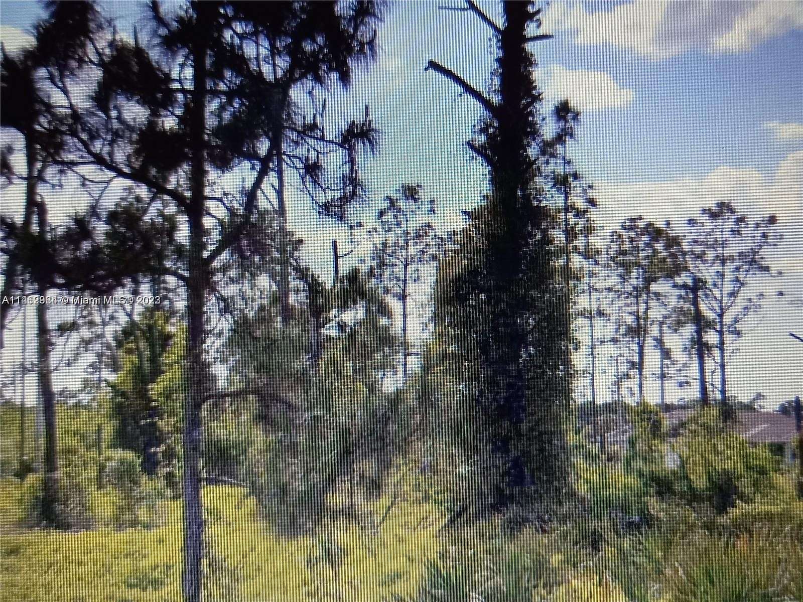 0.23 Acres of Residential Land for Sale in Lehigh Acres, Florida