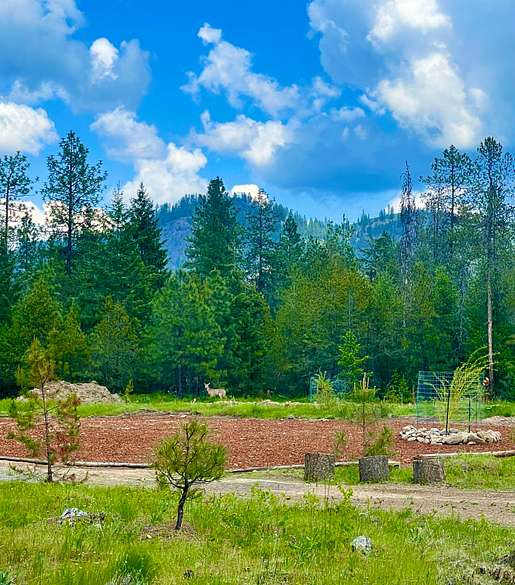 19 Acres of Improved Land for Sale in Valley, Washington