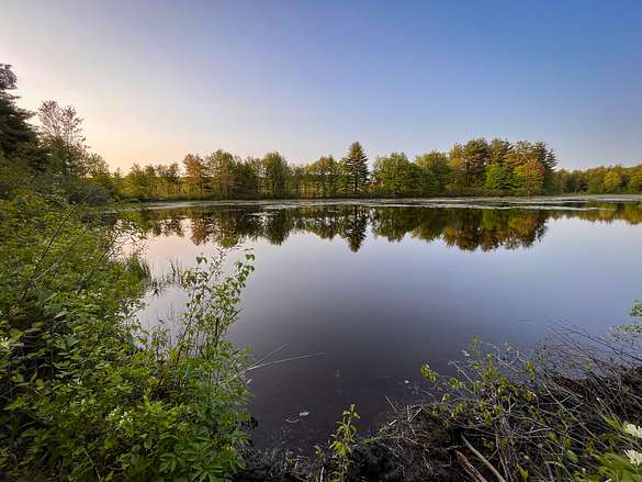 441 Acres of Recreational Land for Sale in Altmar, New York