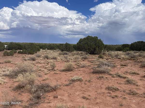 1.13 Acres of Residential Land for Sale in Snowflake, Arizona
