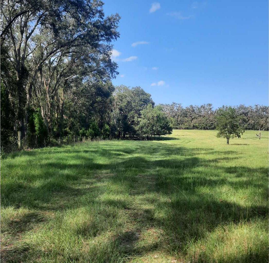 75 Acres of Improved Agricultural Land for Sale in Live Oak, Florida