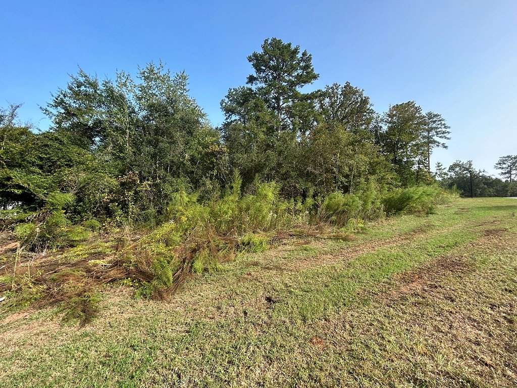 1.37 Acres of Residential Land for Sale in Leesburg, Georgia