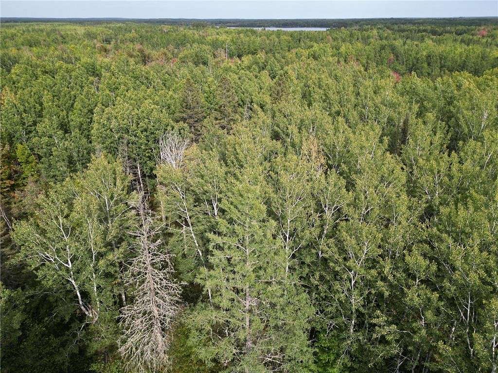 5.9 Acres of Land for Sale in Colvin Township, Minnesota