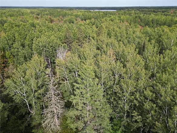 5.9 Acres of Land for Sale in Colvin Township, Minnesota