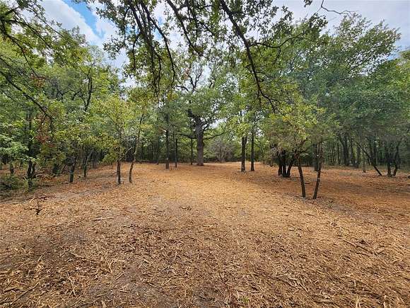 4.133 Acres of Residential Land for Sale in Nemo, Texas