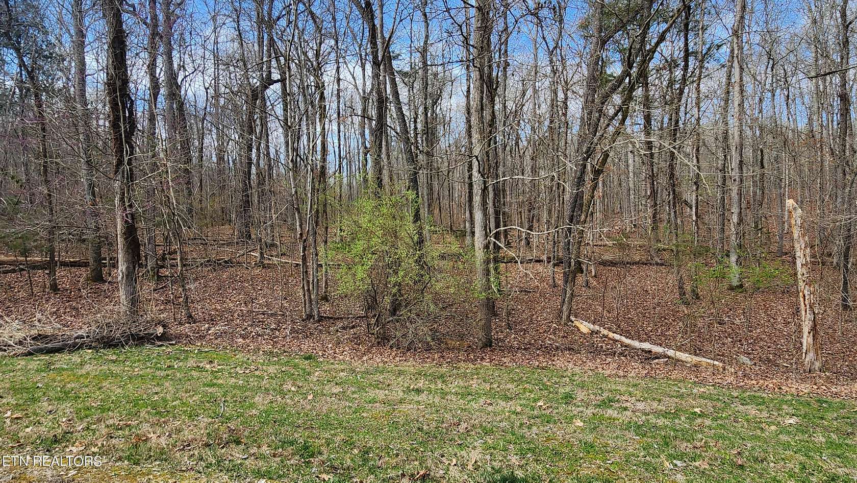 1 Acre of Residential Land for Sale in Rockwood, Tennessee