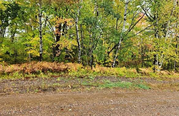 12.2 Acres of Land for Sale in Rib Lake, Wisconsin