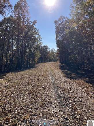 13.7 Acres of Land for Sale in New Concord, Kentucky