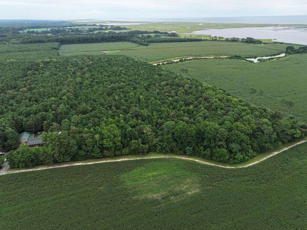 21.4 Acres of Agricultural Land for Sale in Parksley, Virginia